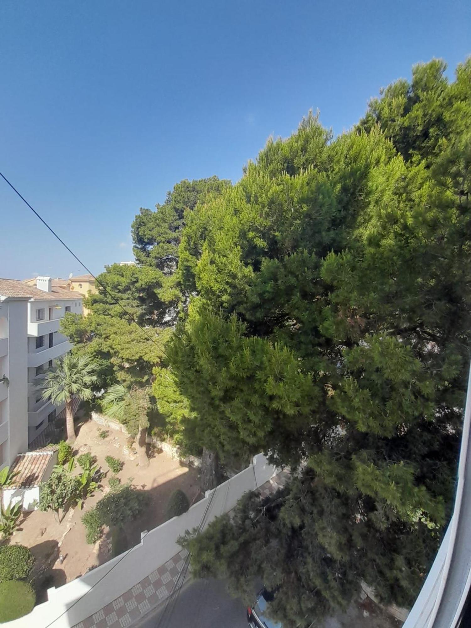 贝纳尔马德纳Edificio Don Daniel公寓 外观 照片